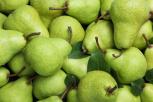 Manfaat Buah Pir Hijau Kesehatan dan Nutrisi yang Mengagumkan